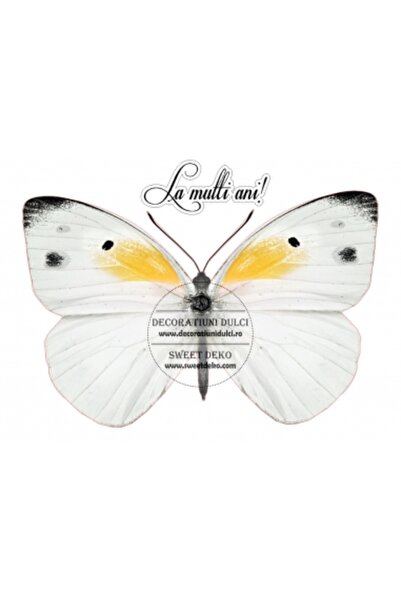 Decoratiuni Dulci Imagine comestibila - fluture regal - A4, Decupat