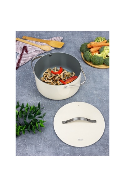 Zilan Premium Pot ZLN0873, 5 layers, 24cm, 5.2l, induction compatible, non-st...