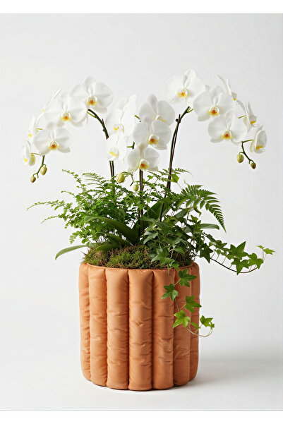 BEBÜTO Balon Beton Saksı 22x20