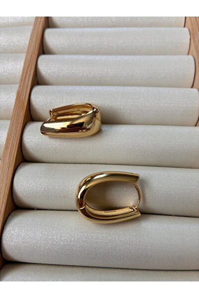 ARİ TAKI Oval Ring Gold Steel Earrings