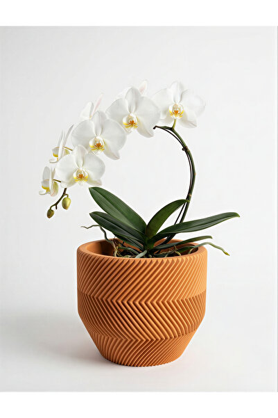 BEBÜTO Zikzak Beton Saksı 22x18