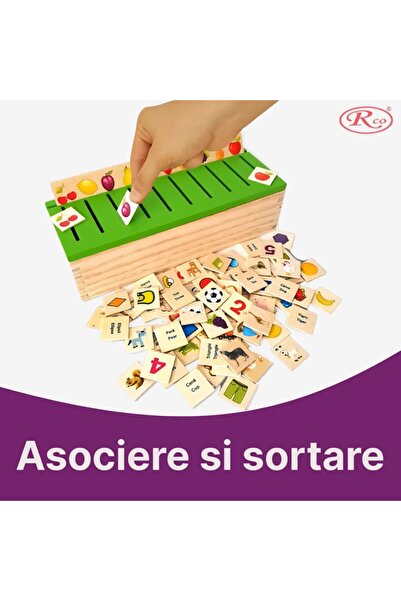 OEM Joc Educativ Montessori in limba romana engleza, de clasificare, sortare ...