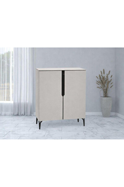 DEC10 Modern shoe cabinet