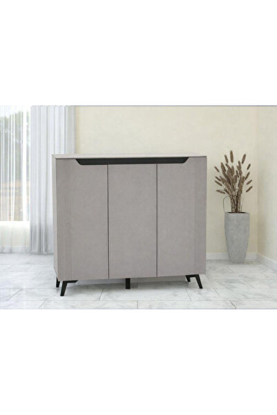 DEC10 Modern shoe cabinet