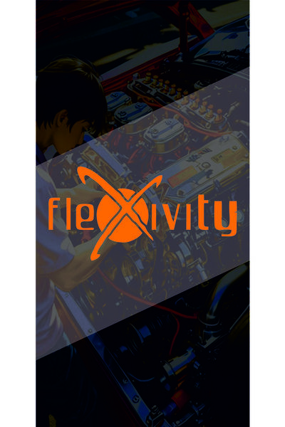 sticker Flexivity 20X10 cm Flexivity Labels for Cars, Motors, Laptops with Ho...
