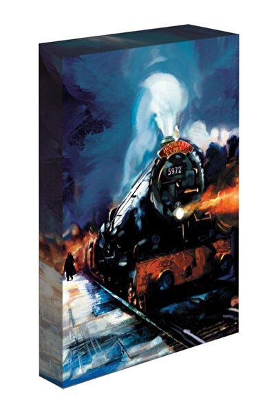 Pyramid International Tablou pânză luminoasă Harry Potter (Expresul de la Hog...