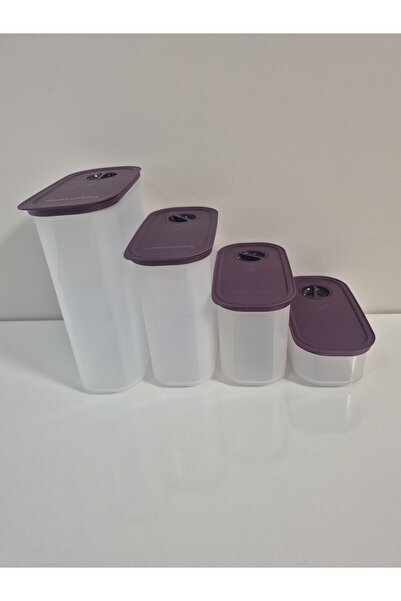 Tupperware Time Fairy 4-Piece Oval Legume Storage Container