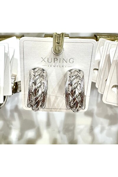GLOW ACCESSORIES BAE Xuping Stainless Steel Mesh Model Earrings