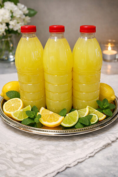 Handmade Ev yapımı katkısız limonata 3 ad (1 er kg şişelerde)