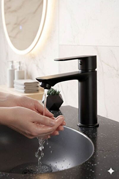 RocciArmatur Black Fixed Body Basin Mixer Tap