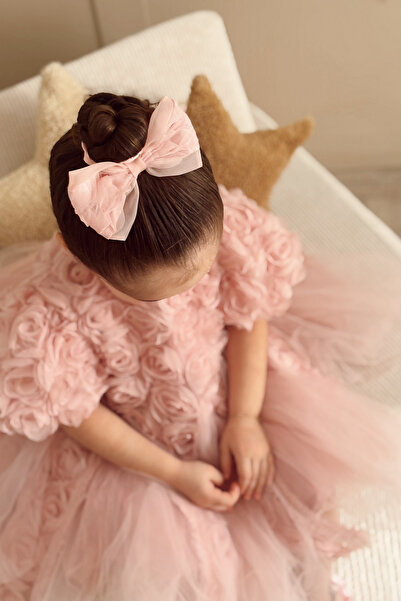 miabambim Rose Appliqué Crown Dried Rose