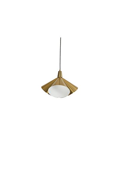 DEC13 A pendant lamp with an innovative and distinctive design