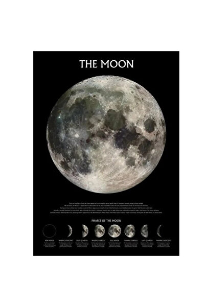 Pyramid International Maxi Poster The Moon Phases