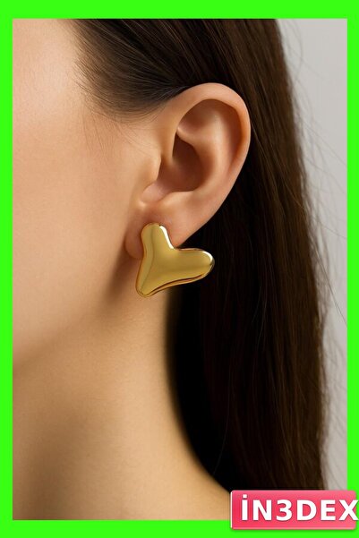 İN3DEX Tarnish Resistant Stainless Steel Heart Shaped Earrings