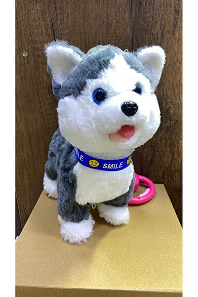 Magicway Müzikli Yürüyen Havlayan Yalayan Kuyruk Ve Başını Sallayan Ses Kaydı...