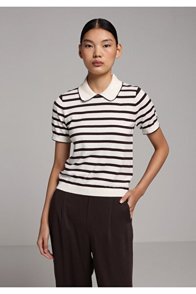 Colin's Slim Fit Polo Collar Striped Women's Brown Short Sleeve Sweater