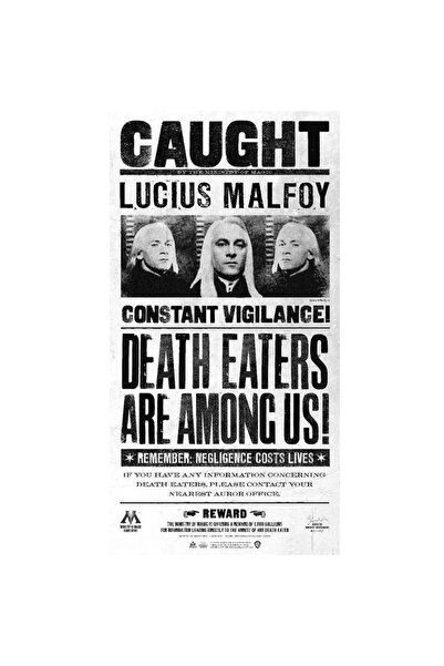 Warner Bros Harry Potter Duvar Posteri Lucius Malfoy 50x70 cm