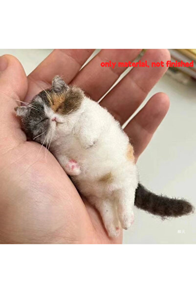 Choice 01 Sheep Felt Poke Cat Handmade Material Bag For Beginner Diy Wool Nee...