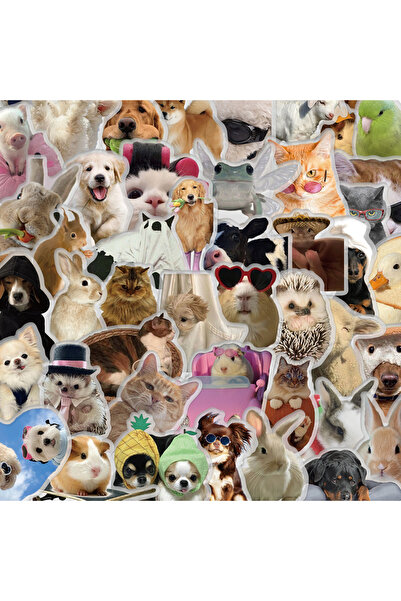 Choice 50PCS 50PCS Transparent Fun Pattern Stickers for Pets Sticker Nostalgi...