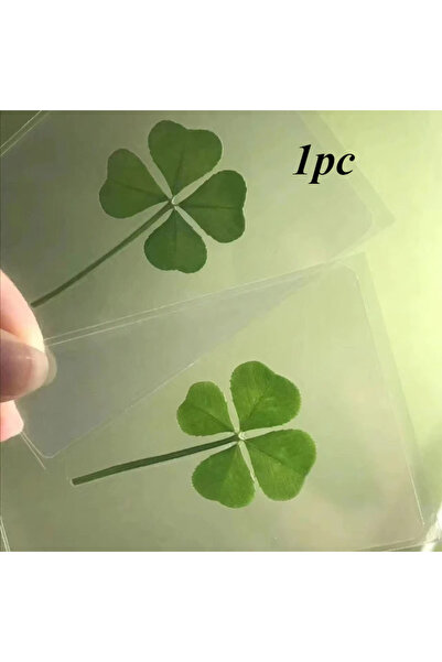 choice2 green-1pc New 1pc Lucky four leaf Clover Postcards Natural Grass Tran...