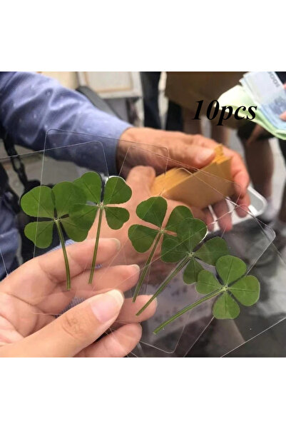 Choice green-10pcs New 1pc Lucky four leaf Clover Postcards Natural Grass Tra...