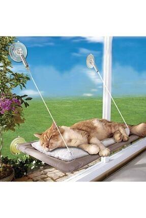 Hyd Cama Asilan Kedi Yatagi Minderi Hamak Yastigi Evi Minder Kopek Yatak Yapisan Vantuzlu Fiyati Yorumlari Trendyol
