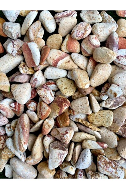 Ekodoğa Sarı Çizgili Dolomit Taş 1 Kg 1,5-2,5 Cm Bahçe Taşı Süs Taşı Akvaryum...