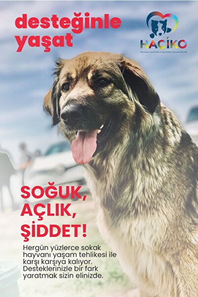 HAÇİKO Destek Kartı