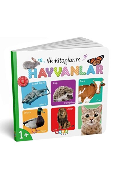 Diytoy Ilk Kitaplarım 6'lı Eğitim Seti Eğitici Zeka Kartları Oyun Kitapı