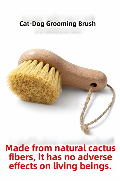 MadameNatural Pet (Cat, Dog) Paw Cleaner (Made from 100% Natural Cactus Leaf)