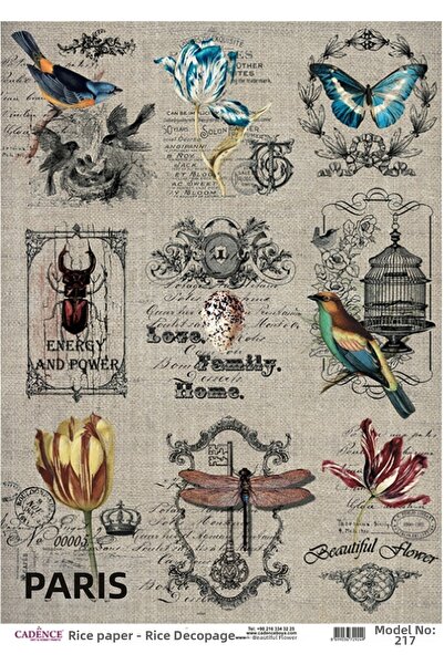 Cadence Brass Decorative Paper 29X42Cm No:Cd217