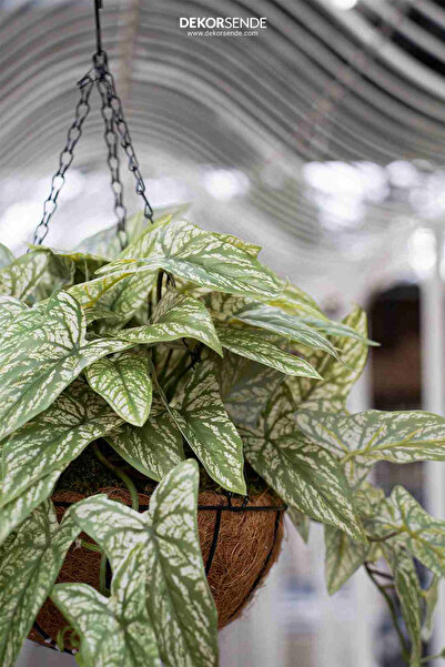 Dekorsende Yapay Singonyum Sarmaşık Demeti 45 Cm