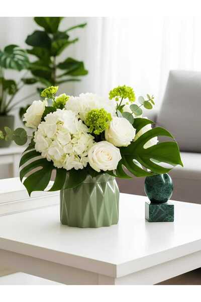 E.M.S AVM Büzgülü Saksı Kaktüs Saksısı Sukulent Saksısı Menekşe Saksısı Büyük...