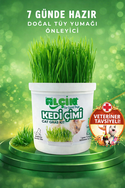 ALÇİN Kedi Çimi Tüy Yumağı Önleyici Etkili Sindirim Sistemi Dostu ve %100 Doğal