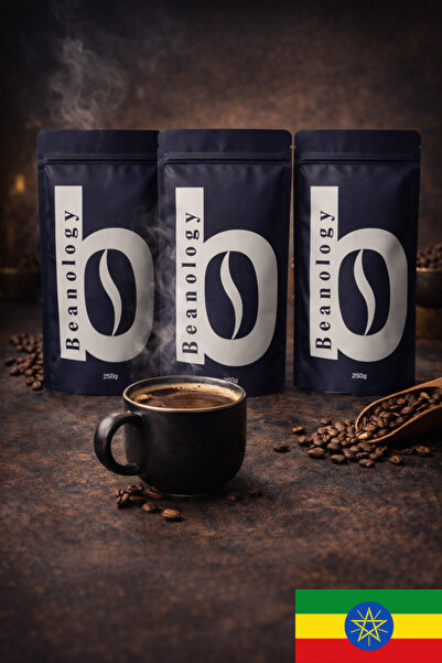 Beanology Coffee علبة غوجي إثيوبية ثلاثية، تحميص متوسط ​​250 غ + 250 غ + 250 غ
