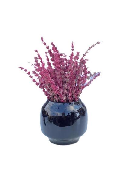 Çiçek Yolla Pembe Şoklanmış Lavanta Arajmanı Saksısız 100 gr