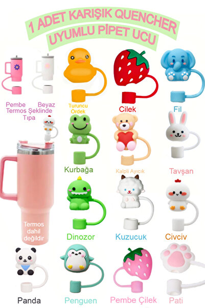 Besify Quencher 1 Adet Pipetli Termos Uyumlu Silikon Pipet Tıpası Kapağı Quen...