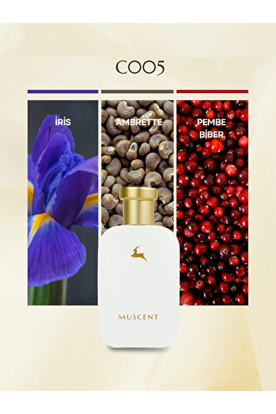 MUSCENT C005 GYou 50 ml.