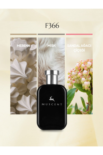 MUSCENT F366 TCrem Cloud 50 ml.