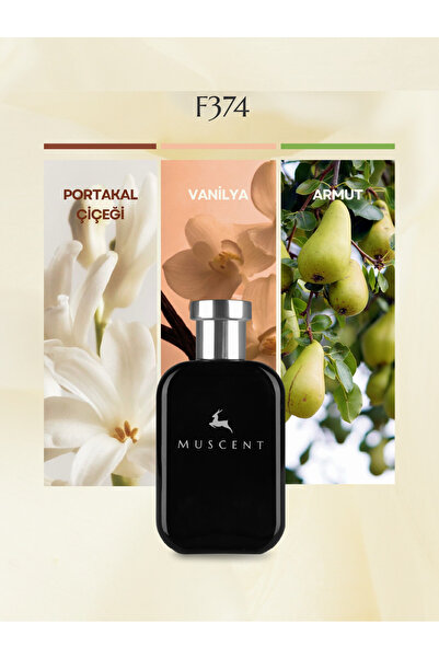 MUSCENT F374 – PParadoks 50 Ml.