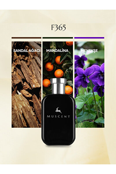 MUSCENT F365 Bare 50 ml.