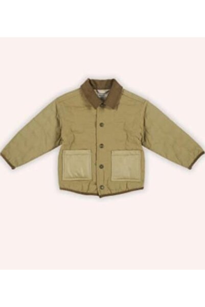 Panço ERKEK ÇOCUK KEDİ KAPİTONELİ MONT GK7022
