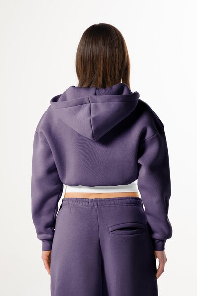 Flaw Wear Flaw Embroidered Purple Zip Crop