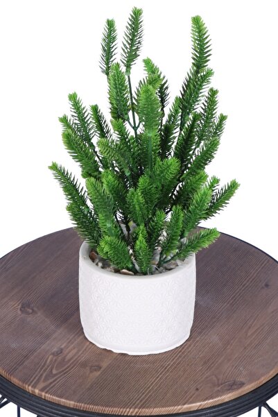 Yapay Çiçek Sitesi Artificial Plant Arrangements in Concrete Flower Pot Model 9