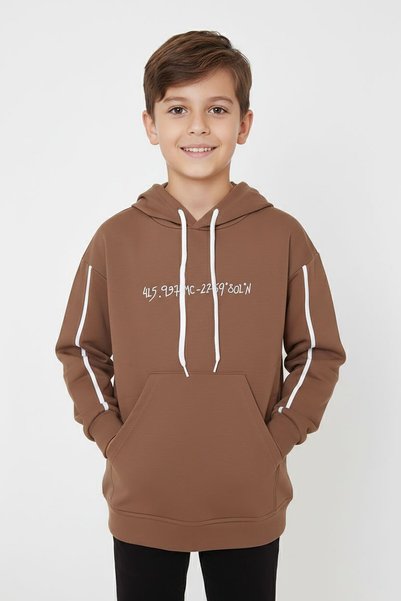 CansınMini Kahverengi Baskılı Erkek Çocuk Şeritli Kapüşonlu Sweatshirt 19218