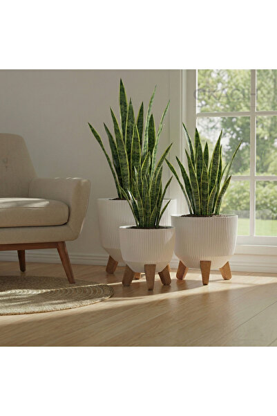 okacih 3'lü Modern Stick Line Bambu Ayaklı Saksı Akıllı Altlıklı 18 Litre