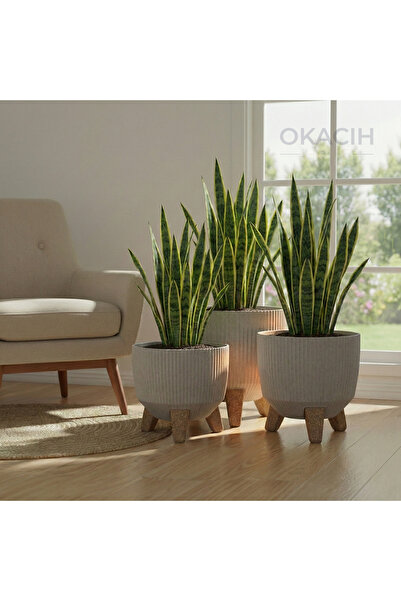 okacih 3'lü Modern Stick Line Bambu Ayaklı Saksı Akıllı Altlıklı 18 Litre