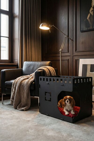 Evene Ahşap Köpek Kulübesi Dekoratif Köpek Evi Siyah Renk Küp Model