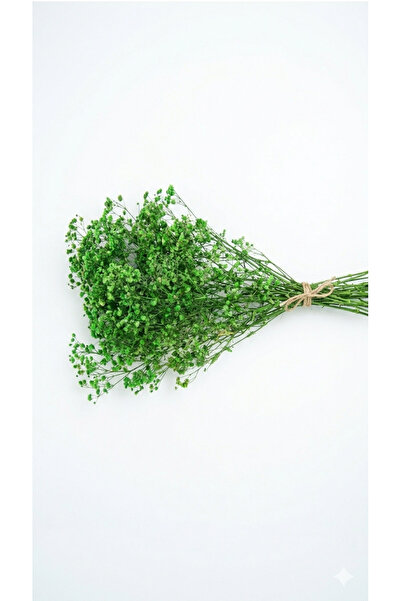 Birlik Cipso Çiçeği Şoklanmış Yeşil