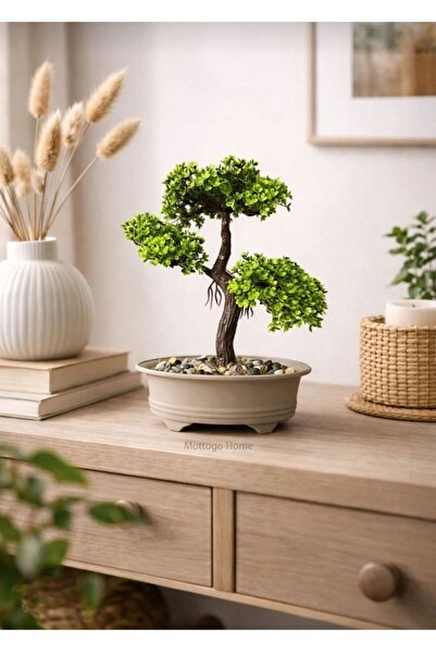 Genel Markalar Dekoratif ve şık Bonzai görünümlü Saksıda Yapay Yıldız Çiçeği ...